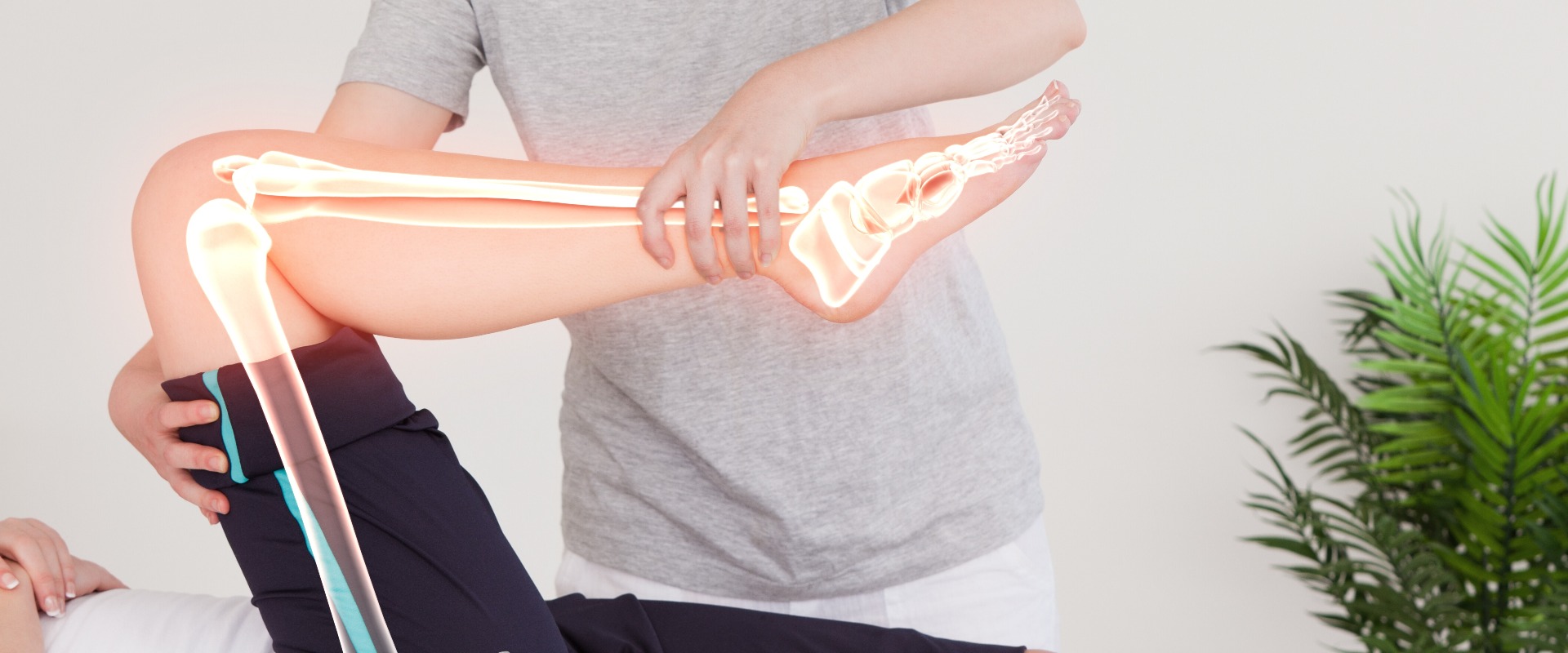 Hervorgehobene Knochen einer Frau beim Physiotherapeuten